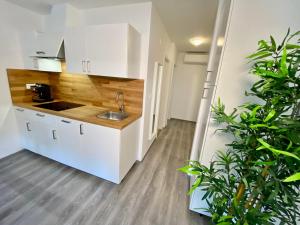 Dapur atau dapur kecil di Apartment 3 Sovice