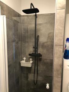 a shower with a shower head in a bathroom at Lendhafen in Klagenfurt