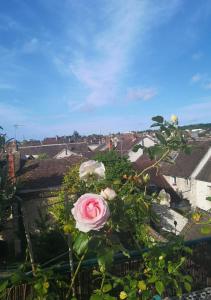 a pink rose sitting on top of a building at Atelier d'Art - vue panoramique in Moret-sur-Loing