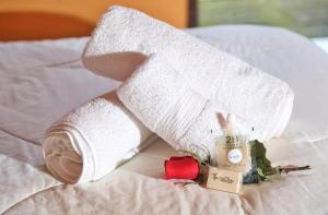 Cama ou camas em um quarto em Pousada Colibri Serrano