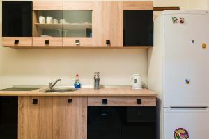 a kitchen with a sink and a refrigerator at Apartament Ultracentral, Piata Romana in Bucharest