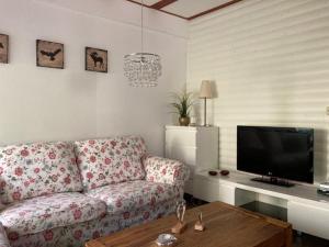 ein Wohnzimmer mit einem Sofa und einem Flachbild-TV in der Unterkunft Ferienhaus Lilly am Silbersee in Frielendorf