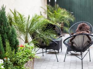 OsbyStora Hotellet Osby酒店 的坐在花园里椅子上的狗