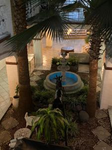 a dog sitting next to a fountain in a courtyard at Hotel Gya Express in Aguascalientes