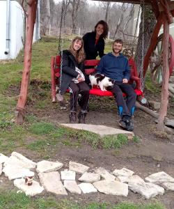 un groupe de personnes assis sur une balançoire avec un chien dans l'établissement Room in BB - Camping Retreat in a Rural Way, à Tarina