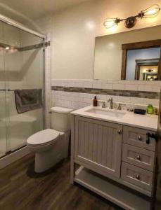 ein Bad mit einem WC, einem Waschbecken und einer Dusche in der Unterkunft Clear Creek Inn in Georgetown