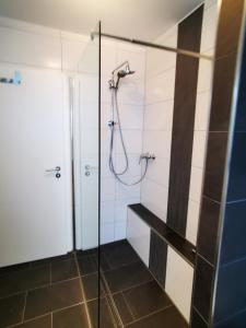 a bathroom with a shower with a glass door at Moderne Landhaus-Ferienwohnung mit Balkon in Kempen