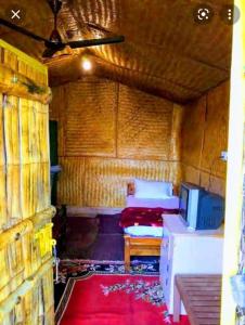 Cette petite chambre comprend deux lits et une télévision. dans l'établissement JUNGLE PARADISE FARM & GUEST HOUSE, à Masinagudi