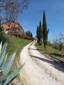 a dirt road with trees on the side of a house at GLI ALBERI apartment with view in Montepulciano