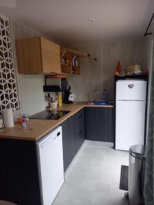 uma cozinha com um frigorífico branco e armários de madeira em Mobil home yves et magali em La Garde-Freinet