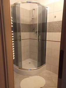 a shower with a glass door in a bathroom at Apartament Holny in Zakopane