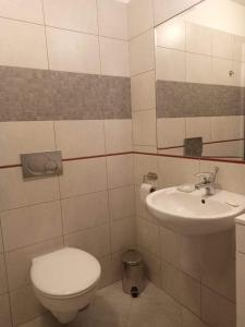 a bathroom with a toilet and a sink at Apartament Holny in Zakopane