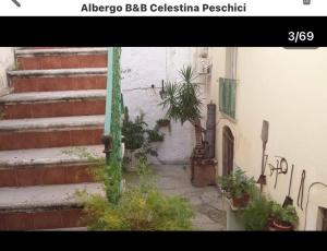 B&B Celestina Peschici في بيسكيتشي: درج مع نباتات الفخار على جانب المبنى