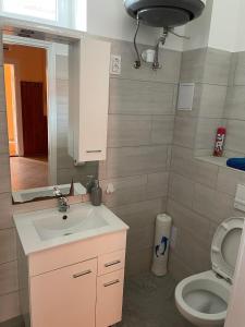 ein Bad mit einem Waschbecken und einem WC in der Unterkunft Csuszka vendégház in Tiszafüred