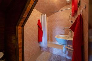 a bathroom with a sink and a shower with red towels at Chalupa 409 in Rokytnice nad Jizerou