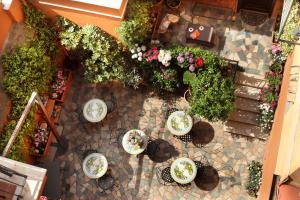 Zahrada ubytování Hotel Modigliani