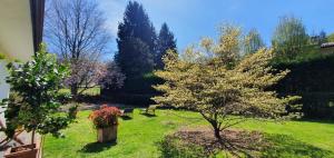 Zahrada ubytování b&b le magnolie