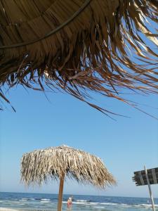 a straw umbrella on a beach with the ocean at Rimimi Apartamente Studio in Mamaia Nord