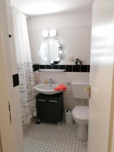 y baño con lavabo, aseo y espejo. en Kranichsee-Apartment, en Goslar