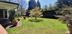 Zahrada ubytování b&b le magnolie