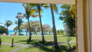 圣安尼Grand studio 4 pers superbe vue mer et cocotiers dans Village Vacances Sainte-Anne plage à - 30 m的棕榈树房屋享有海滩美景