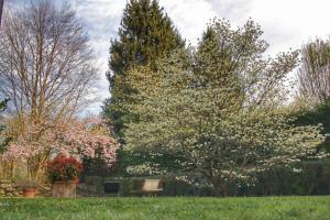 Zahrada ubytování b&b le magnolie