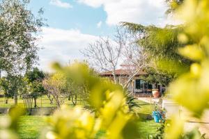 Zahrada ubytování Villa Irene Pisticci-Matera