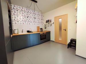 Kuchyňa alebo kuchynka v ubytovaní Apartmán SVAN B2