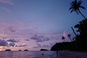 a beach with a palm tree and the ocean at sunset at Nature Beach Resort in Ko Chang