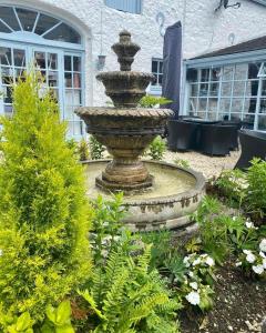 
a fountain in the middle of a garden at The Stables Townhouse B&B in Birr
