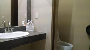 a bathroom with a sink and a toilet and a mirror at Hotel Plaza Hidalgo in Ixtlán del Río +25 photos