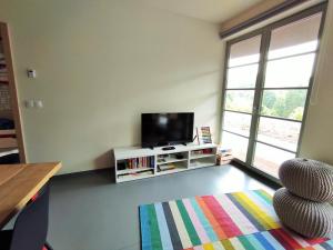 a living room with a television and a colorful rug at Apartmán SVAN B2 in Říčky