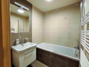 Kúpeľňa v ubytovaní Apartmán SVAN B2