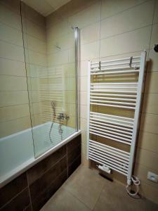 Kúpeľňa v ubytovaní Apartmán SVAN B2