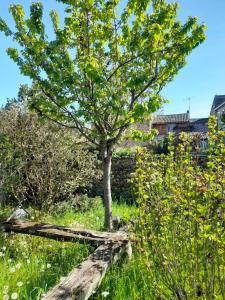 Giardino di La Chambre Verte