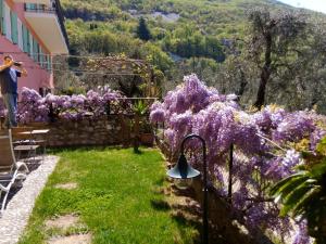 um jardim com raspadinhas roxas na cerca em APPARTAMENTO AURORA Val di Sogno em Malcesine