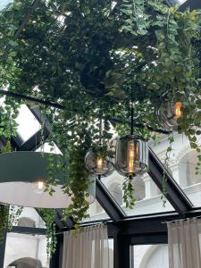 een hoop lichten aan een plafond met planten bij Vierzigerhof in Langenlois