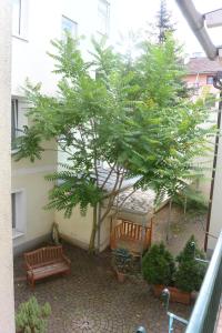 Vonkajšia záhrada v ubytovaní Adlerhof