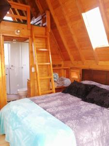 a bedroom with a bed and a ladder at Glamping y Cabañas el Encanto los Geranios in Tota