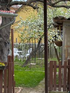 Vonkajšia záhrada v ubytovaní Villa Trófea