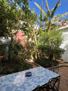 Сад в RIAD OASIS D'ASILAH