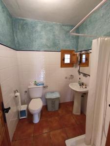 uma casa de banho com um WC e um lavatório em CASA PETRA : Bonita casa rural en Yunquera em Yunquera