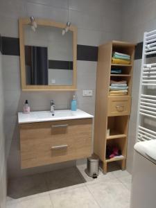 ein Bad mit einem Waschbecken und einem Spiegel in der Unterkunft Le logis aux digitales in La Croix-aux-Mines