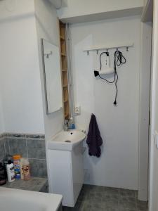 a bathroom with a white sink and a mirror at Cozy studio apartment in central Akureyri. in Akureyri