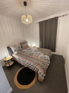 um quarto com uma cama grande e um lustre em Appartement Centre Ville avec Garage em Troyes