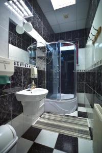 ein Bad mit einer Dusche, einem Waschbecken und einem WC in der Unterkunft Restauracja Zajazd Kasztelan in Krosno