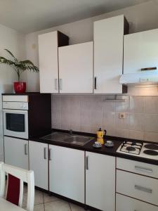 Kuchyň nebo kuchyňský kout v ubytování Apartments Dalmatia