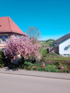 uma casa com uma árvore florida em frente a uma casa em Meyerhof em Wittenweier