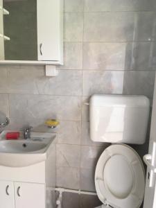 een badkamer met een wit toilet en een wastafel bij Dupleks apartmani "Šumadija" Bogutovačka Banja in Bogutovac