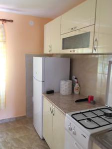 een keuken met een witte koelkast en een fornuis bij Dupleks apartmani "Šumadija" Bogutovačka Banja in Bogutovac